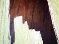 photo12