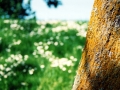 photo13