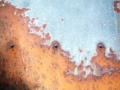 photo8